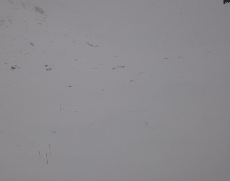 Heilbronner Hütte: Scheidsee