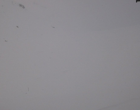 Heilbronner Hütte: Scheidsee